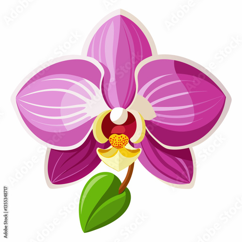 Orchid on a white background