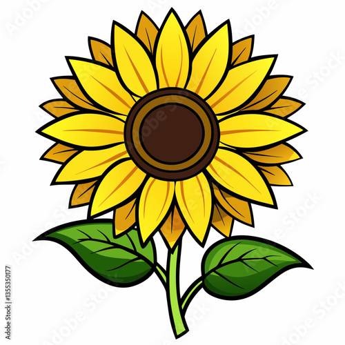 Sunflower on a white background