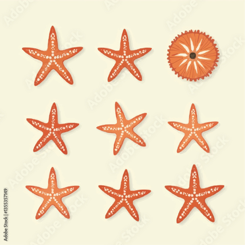 Seesterne Illustrationen:  Farbvariationen für Design


