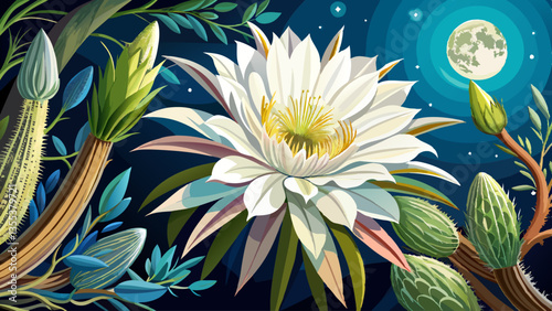 White blossom Queen of the Night Cactus plant with large fragrant flowers front view