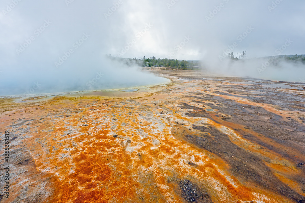 Colorful Bacteria and Minerals in a Foggy Thermal Basin