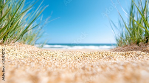Beach Scene with Sand, Grass, and Blue Sky Evokes Natural Tranquility and Calm