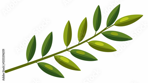 Olive branch on a white background