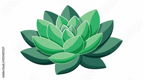 Succulent leaves on a white background