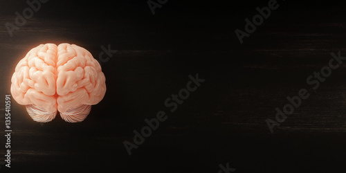 Human brain model against a dark, textured background, showcasing its structure and anatomical details.