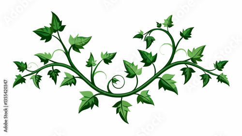 Decorative ivy on a white background