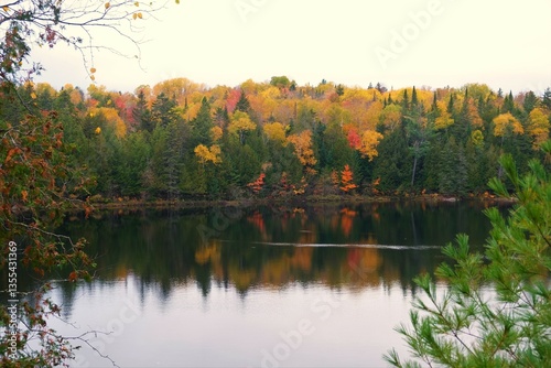 autumn landscape with lake