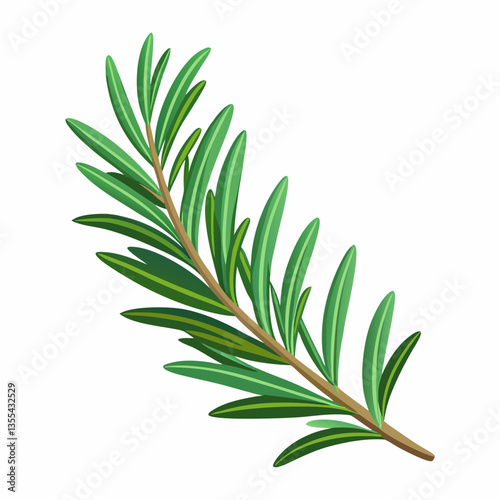 Rosemary sprig on a white background