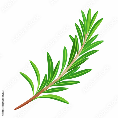Rosemary sprig on a white background