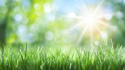 Lush Green Grass and Sunlight Background for Nature, Spring, and Outdoors Scenarios