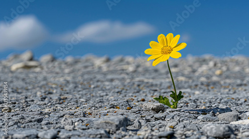 Unlock your hidden potential with a growth mindset. Success strategies for personal and professional life. 