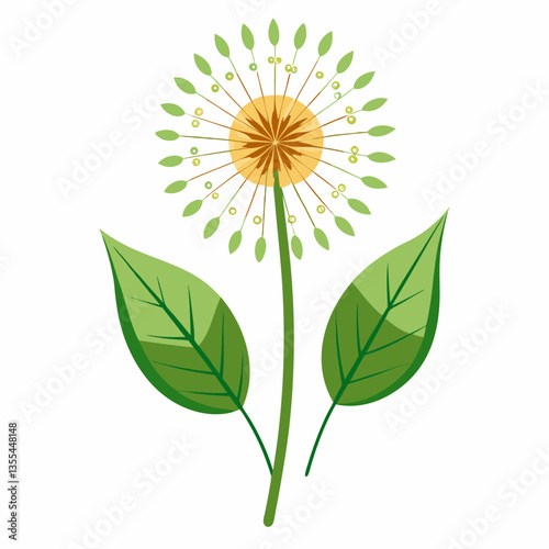 Dandelion with leaves on a white background