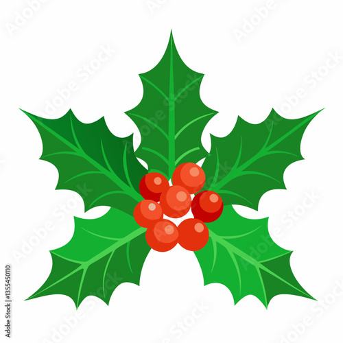 Holly leaves with berries on a white background