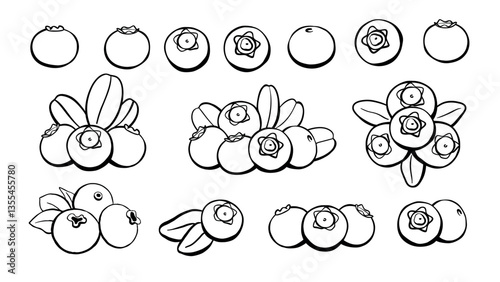 Blueberry Icon Outline Set. Hand Drawn Berry Fruit Vector Illustration