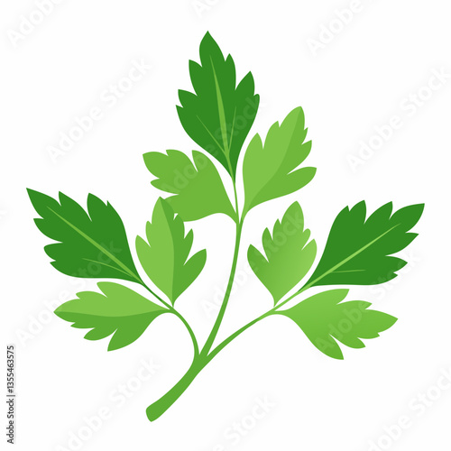 Parsley leaves on a white background