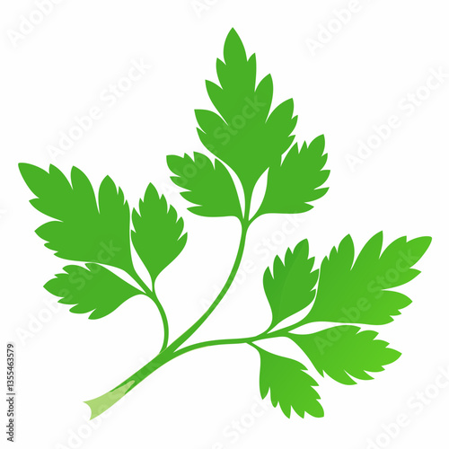Parsley leaves on a white background