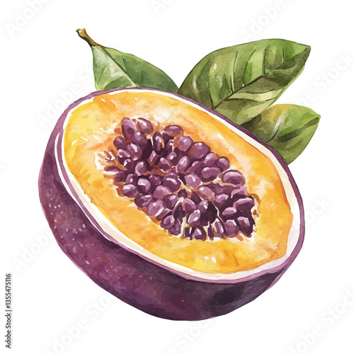 watercolor vector of Passionfruit Slice, isolated on a white background.