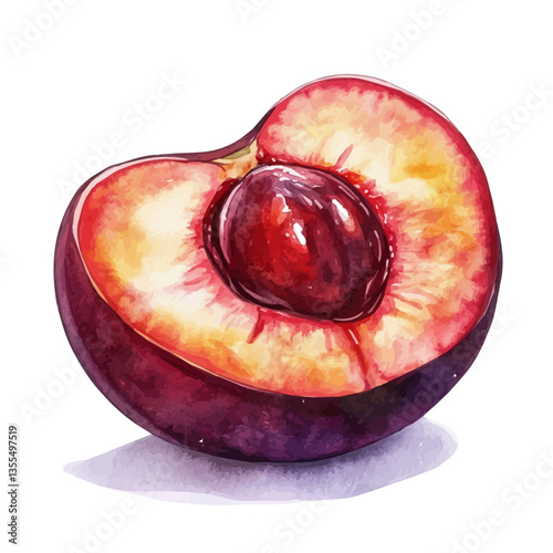 Plum Slice, watercolor illustration, isolated on a white background.