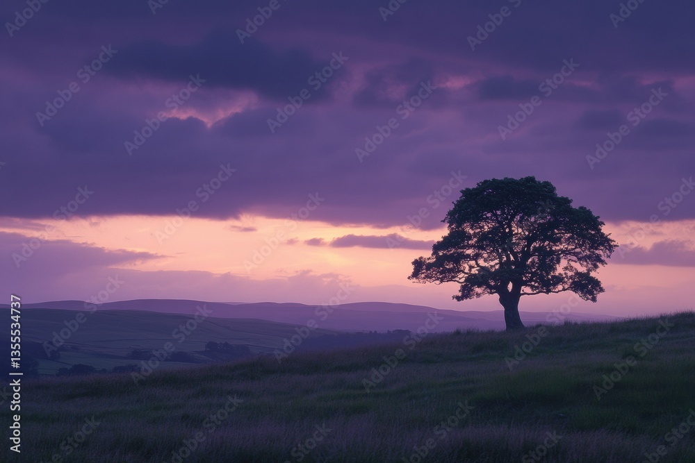 Obraz premium Dramatic sunset illuminates lone tree in rural landscape with warm golden hues and deep purple twilight filling the horizon