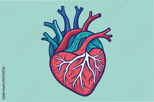 Detailed vector illustration of a human heart showing arteries and veins on a minimal background in vibrant colors