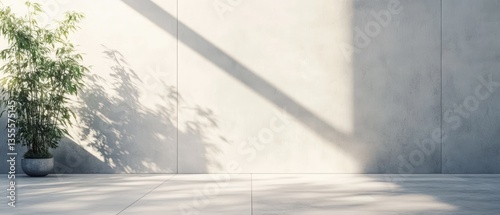 Minimalist interior design with a potted plant casting shadows on a concrete wall in a bright, modern space