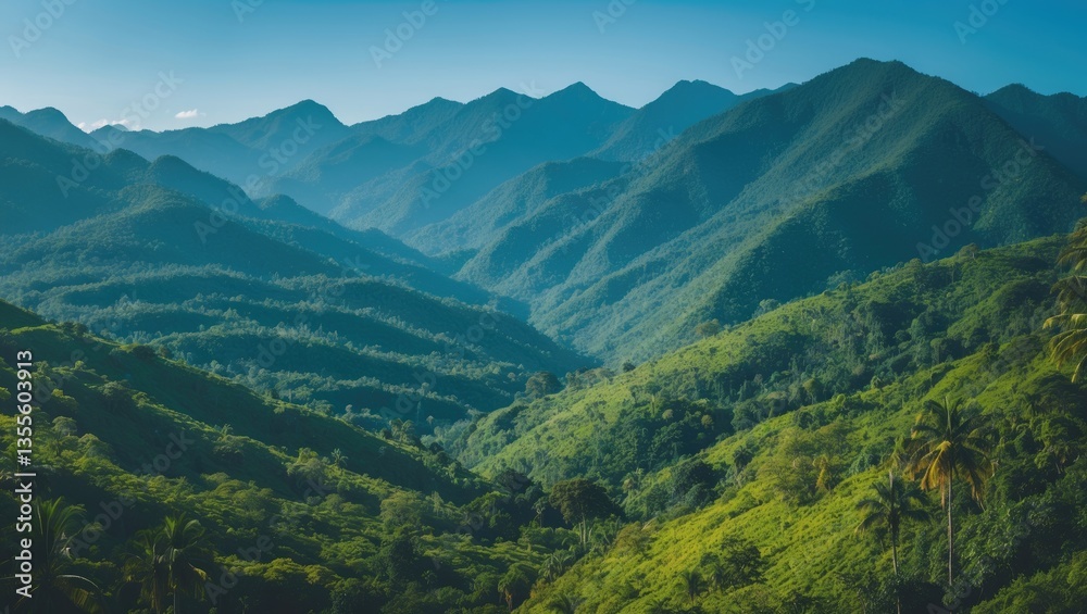 Fototapeta premium Stunning natural scenery of the forest mountains. Rainforest ecosystem, wooded mountain. Natural view tropical green forest. Travel image, no people.