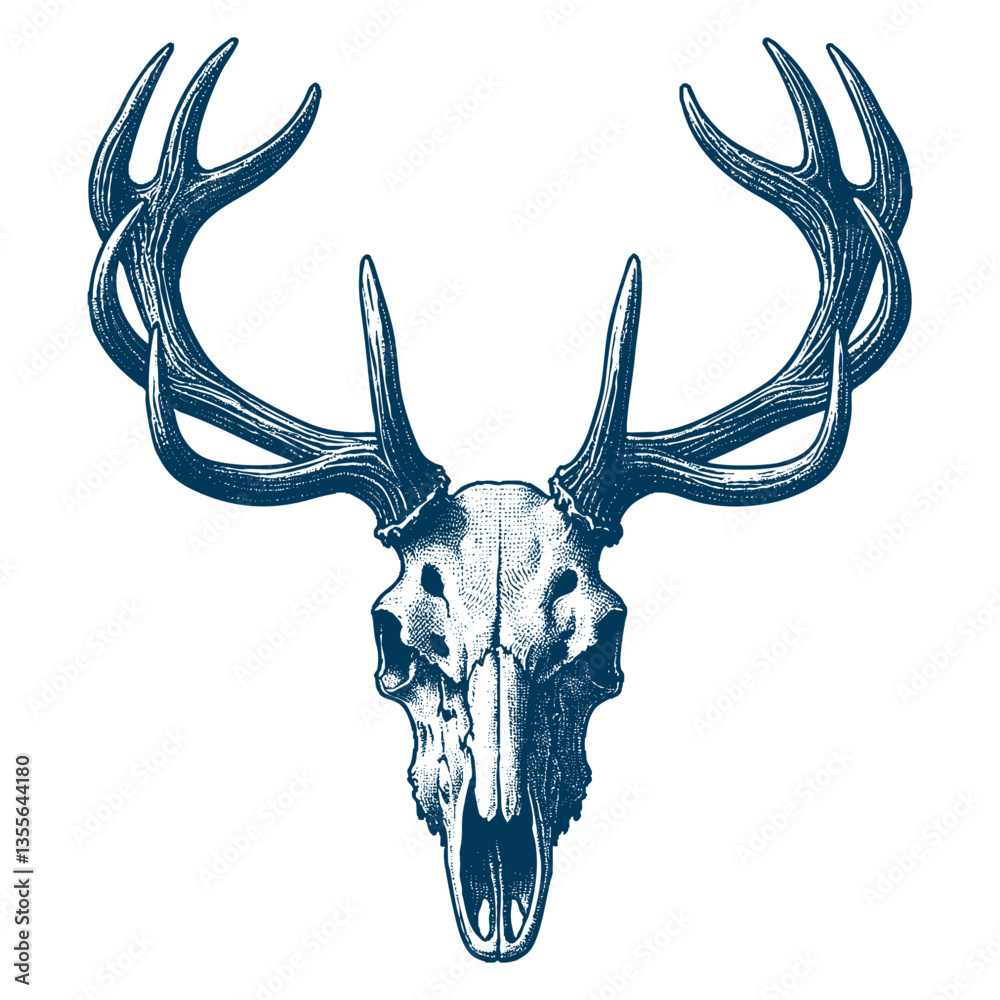 Fototapeta premium elk skull vector