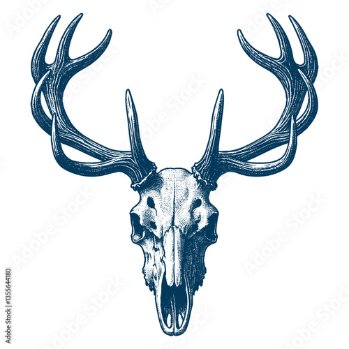 elk skull vector