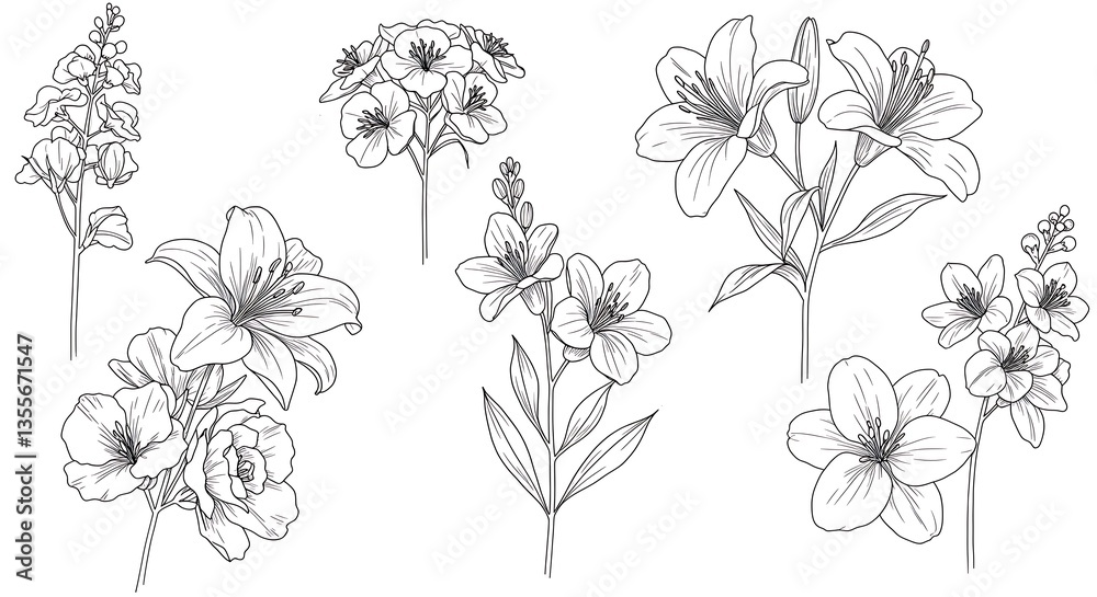 Floral Line Art Collection Flower Drawings of Various Botanical Blooms Floral Line Art Collection Flower Drawings of Various Botanical Blooms
