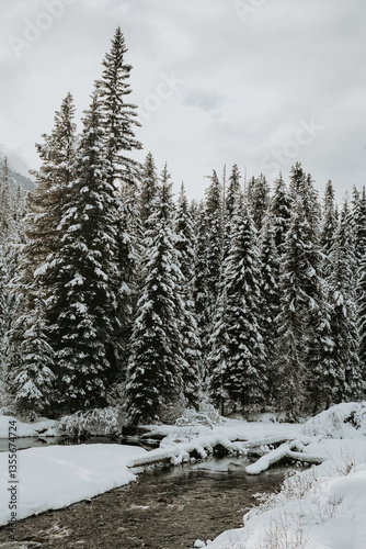 Elevated Beauty: Frozen Canadian peaks

A breathtaking view of frozen Canadian mountains at high elevations. Towering, snow covered peaks contrast against a vivid winter sky.