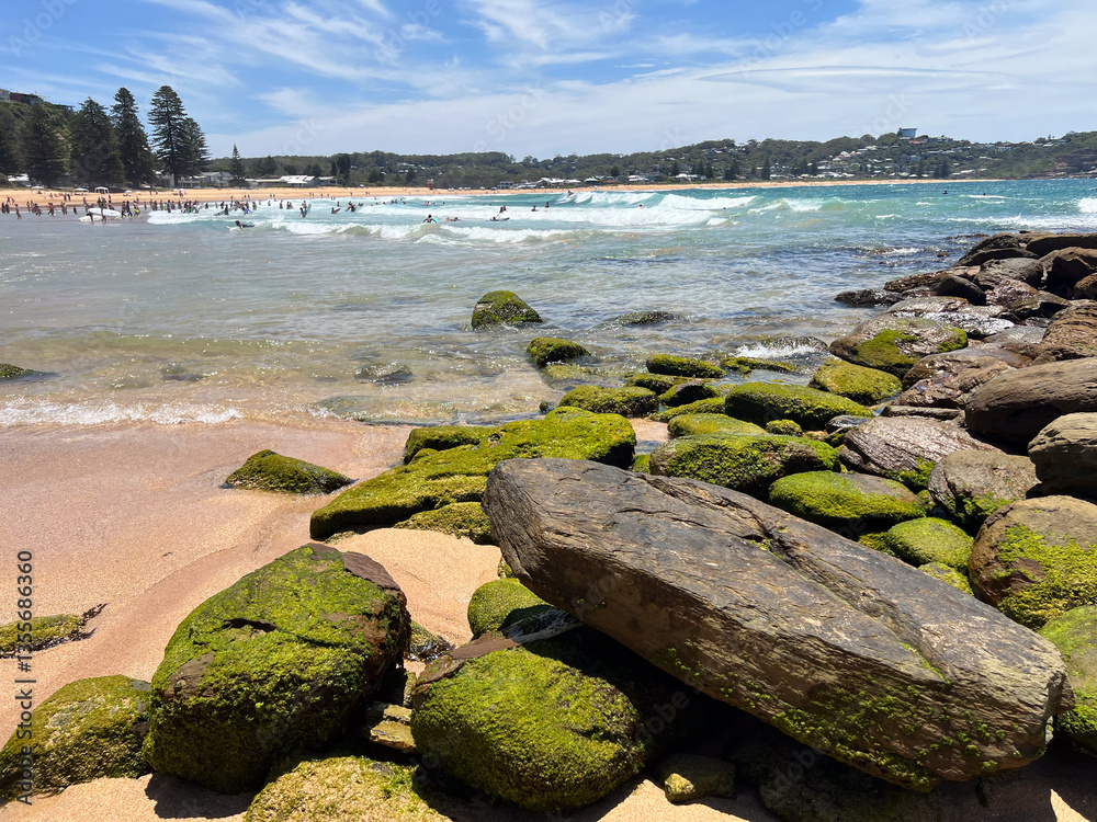 Avoca beach Sydney New South Wales Australia