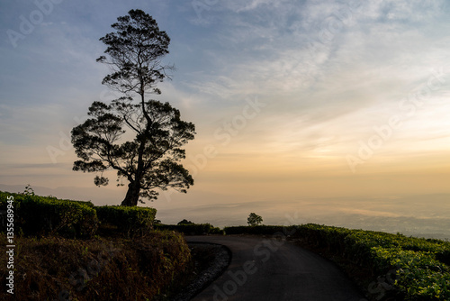 sunset in the countryside
