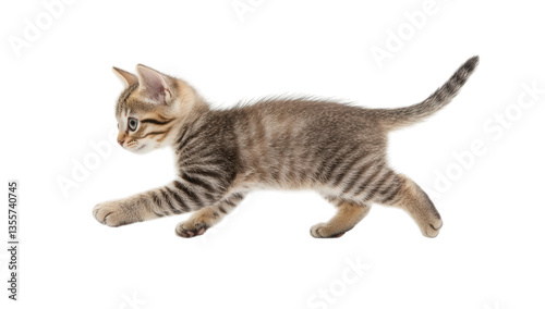 a playful kitten with striped fur is captured mid-stride showcasing its curiosity and agility against a clean white background. charm and liveliness of young cats