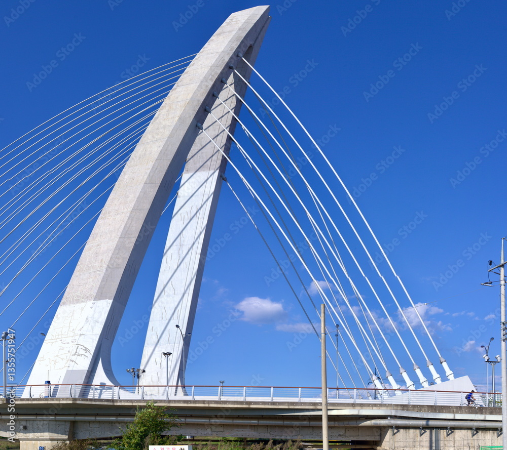 Fototapeta premium Close-Up of Namchang Bridge Cable-Stayed Design