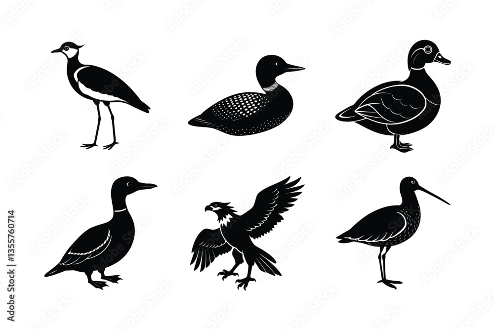 Fototapeta premium many kinds exotic birds silhouette vector illustration