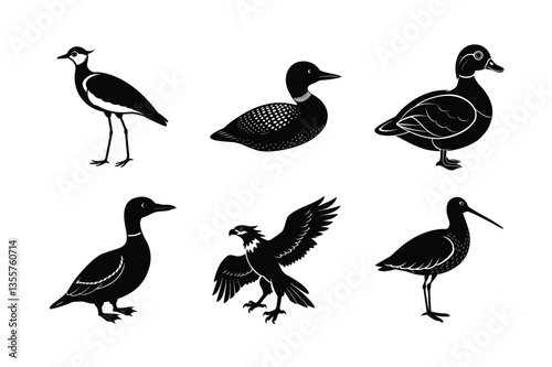 many kinds exotic birds silhouette vector illustration