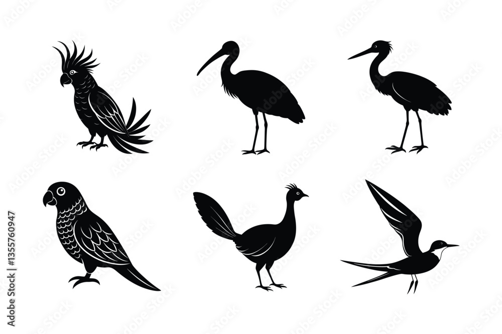 Obraz premium many kinds exotic birds silhouette vector illustration