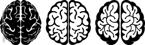 Stylized brain illustrations in black and white, showcasing intricate designs