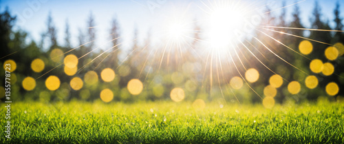 sunburst over green grass w...