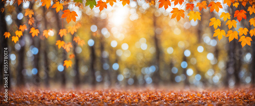 autumn leaves framing bokeh...
