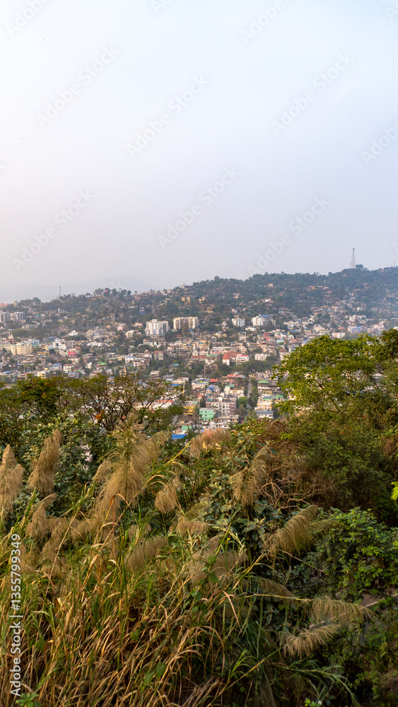 Obraz premium Shot of Guwahati city in Assam from top of Gandhi Mandap with more trees in the foreground vertical photo 1