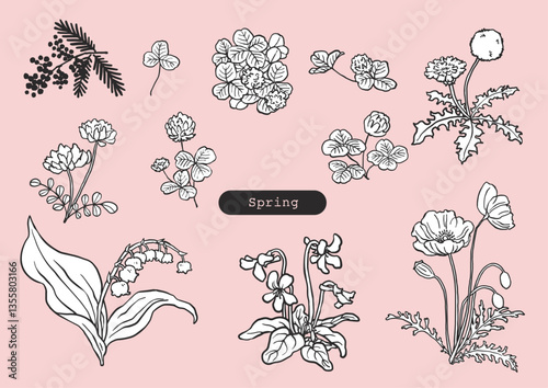 手描きの春の草花セット　白黒