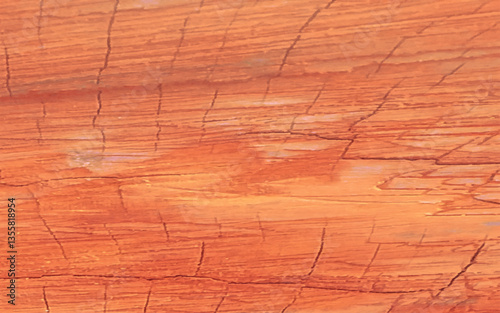 Nature wood background. abstract wooden texture