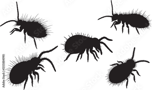 Springtail Silhouette