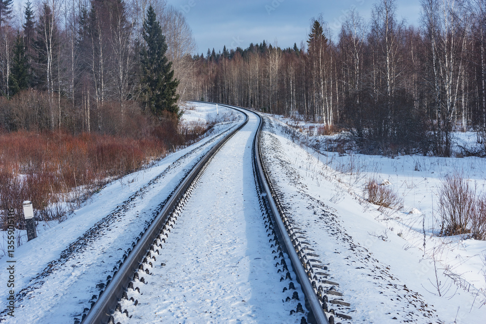 Railway track in the forest. Railway track in the forest.