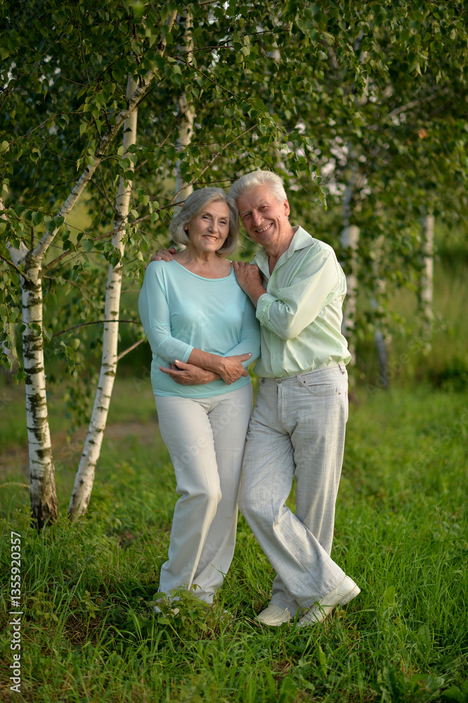 Romantic elderly senior couple embracing in nature