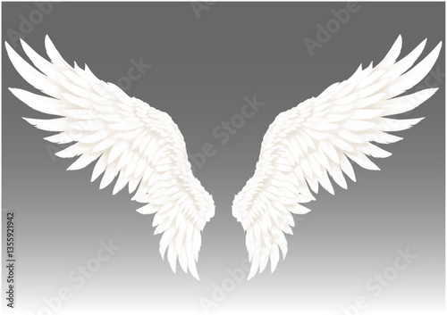 ベクター　白い翼　天使　白鳥　鳥　羽ばたくイメージ　背景削除可能