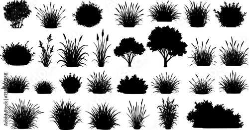 set of bush grass shrub herb silhouette vector transparent background 