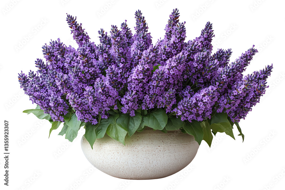 Fototapeta premium Vibrant purple flowers in a decorative pot, showcasing nature's beauty.