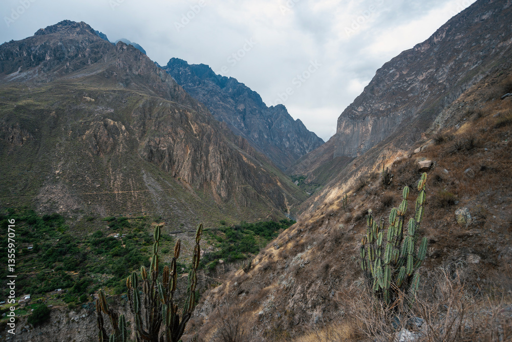 Colca River Canyon